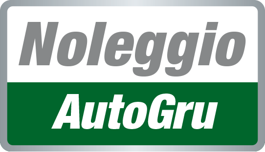 Logo azienda: Noleggio autogru Pisa